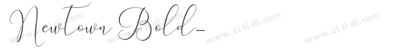 Newtown Bold字体转换